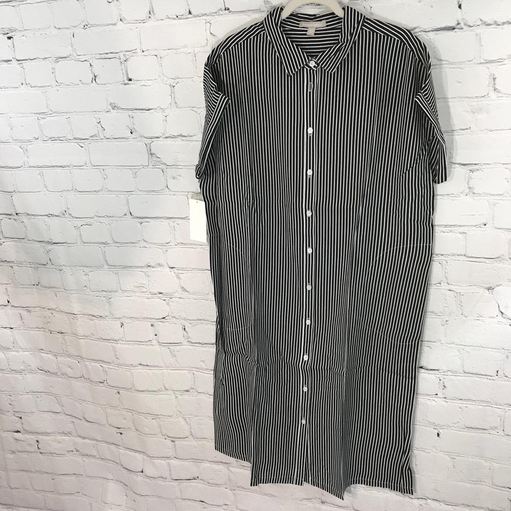 Woman Within Pin Stripe Dress - Picture 2 of 5